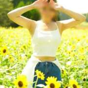 ヒメ日記 2025/08/07 00:05 投稿 観月あんじゅ ハールブルク