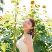 ヒメ日記 2025/08/17 23:05 投稿 観月あんじゅ ハールブルク