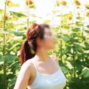 ヒメ日記 2025/10/06 07:01 投稿 観月あんじゅ ハールブルク