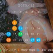 ヒメ日記 2025/10/26 23:01 投稿 観月あんじゅ ハールブルク