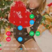 ヒメ日記 2025/11/15 23:33 投稿 観月あんじゅ ハールブルク