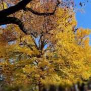 ヒメ日記 2025/11/26 07:01 投稿 観月あんじゅ ハールブルク