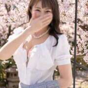 ヒメ日記 2026/03/23 07:02 投稿 観月あんじゅ ハールブルク