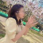 ヒメ日記 2026/03/31 07:01 投稿 観月あんじゅ ハールブルク