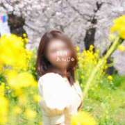 ヒメ日記 2026/04/01 00:04 投稿 観月あんじゅ ハールブルク