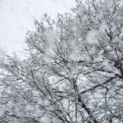 ヒメ日記 2025/03/20 11:11 投稿 今日子 出会い系人妻ネットワーク 上野〜大塚編