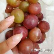 ヒメ日記 2025/10/11 22:39 投稿 今日子 出会い系人妻ネットワーク 上野〜大塚編