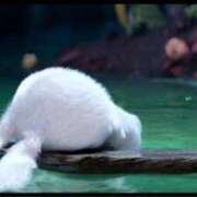 ヒメ日記 2025/02/12 19:38 投稿 えま 性の極み 技の伝道師　五反田店