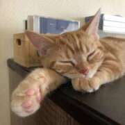 ヒメ日記 2025/11/11 11:03 投稿 なつき デリトップ