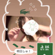 えい こんな星の夜は君がいてくれたなら 夜這い本舗