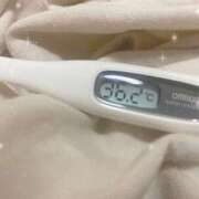 ヒメ日記 2025/04/10 15:15 投稿 篠田　ゆみ つくば風俗エキスプレス   ヌキ坂46