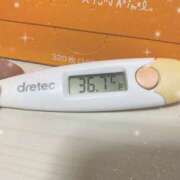 ヒメ日記 2025/04/20 15:15 投稿 篠田　ゆみ つくば風俗エキスプレス   ヌキ坂46