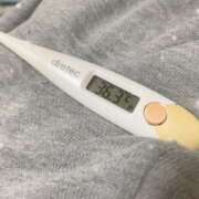 ヒメ日記 2025/04/23 15:15 投稿 篠田　ゆみ つくば風俗エキスプレス   ヌキ坂46