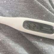 ヒメ日記 2025/05/24 15:15 投稿 篠田　ゆみ つくば風俗エキスプレス   ヌキ坂46