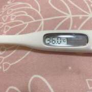 ヒメ日記 2025/05/27 15:19 投稿 篠田　ゆみ つくば風俗エキスプレス   ヌキ坂46