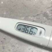 ヒメ日記 2025/06/20 16:04 投稿 篠田　ゆみ つくば風俗エキスプレス   ヌキ坂46