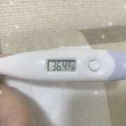 ヒメ日記 2025/06/25 15:15 投稿 篠田　ゆみ つくば風俗エキスプレス   ヌキ坂46