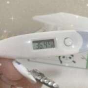 ヒメ日記 2025/06/26 15:15 投稿 篠田　ゆみ つくば風俗エキスプレス   ヌキ坂46