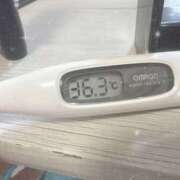 ヒメ日記 2025/08/25 15:15 投稿 篠田　ゆみ つくば風俗エキスプレス   ヌキ坂46