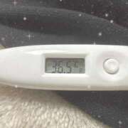 ヒメ日記 2025/12/19 15:22 投稿 篠田　ゆみ つくば風俗エキスプレス   ヌキ坂46