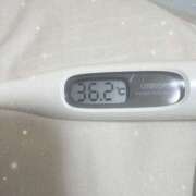 ヒメ日記 2026/01/29 15:18 投稿 篠田　ゆみ つくば風俗エキスプレス   ヌキ坂46