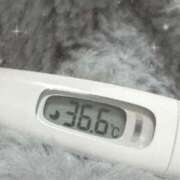 ヒメ日記 2026/04/03 16:04 投稿 篠田　ゆみ つくば風俗エキスプレス   ヌキ坂46