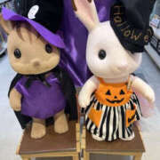 ヒメ日記 2025/10/31 19:48 投稿 じゅんな YESグループ　華女