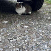 ヒメ日記 2026/01/06 16:34 投稿 じゅんな YESグループ　華女