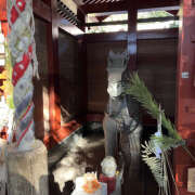 ヒメ日記 2026/01/11 14:37 投稿 じゅんな YESグループ　華女