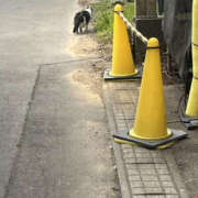 ヒメ日記 2026/01/28 10:34 投稿 じゅんな YESグループ　華女