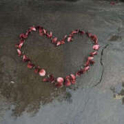 ヒメ日記 2026/02/04 16:37 投稿 じゅんな YESグループ　華女