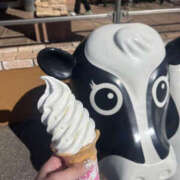 ヒメ日記 2026/03/09 09:02 投稿 じゅんな YESグループ　華女