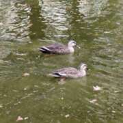 じゅんな 4月🌸 YESグループ　華女