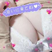 ヒメ日記 2025/02/09 00:13 投稿 すずか 奥様特急三条店