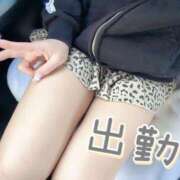 ヒメ日記 2025/03/24 07:07 投稿 ちか☆ CLUB PIAA