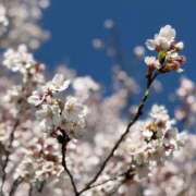 ヒメ日記 2026/04/03 19:59 投稿 うみ マダムの品格