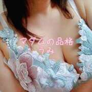 ヒメ日記 2026/04/13 11:06 投稿 うみ マダムの品格