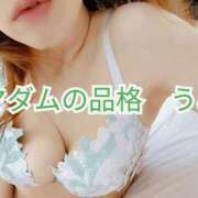 うみ [お題]from:ミートボールさん マダムの品格