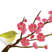 ヒメ日記 2025/03/10 17:22 投稿 りこ ハピネス福岡