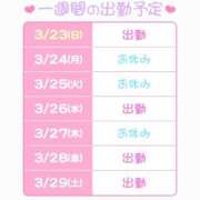 ヒメ日記 2025/03/23 21:32 投稿 りこ ハピネス福岡