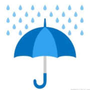 ヒメ日記 2025/06/10 07:02 投稿 りこ ハピネス福岡