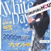 ヒメ日記 2026/03/14 09:55 投稿 三上 ここあ プルプルハウス