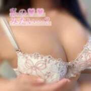 ヒメ日記 2025/07/31 16:14 投稿 かのん 俺のヤバい妻。(谷九)