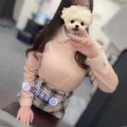 ヒメ日記 2025/12/26 16:59 投稿 かのん 俺のヤバい妻。(谷九)