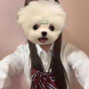 ヒメ日記 2025/03/18 20:22 投稿 さや アイドルチェッキーナ本店