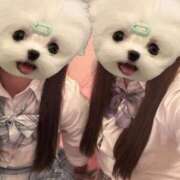 ヒメ日記 2025/04/25 11:34 投稿 さや アイドルチェッキーナ本店