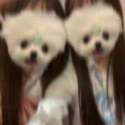 ヒメ日記 2025/03/21 14:52 投稿 まひる アイドルチェッキーナ本店