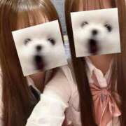 ヒメ日記 2025/04/20 11:29 投稿 まひる アイドルチェッキーナ本店