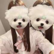 ヒメ日記 2025/05/27 11:36 投稿 まひる アイドルチェッキーナ本店