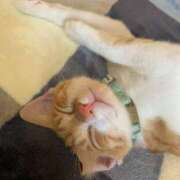 ヒメ日記 2025/02/09 16:37 投稿 うい ちゃんこ東大阪 布施・長田店